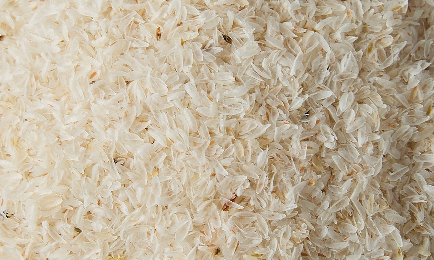 Heart & Circulation Support